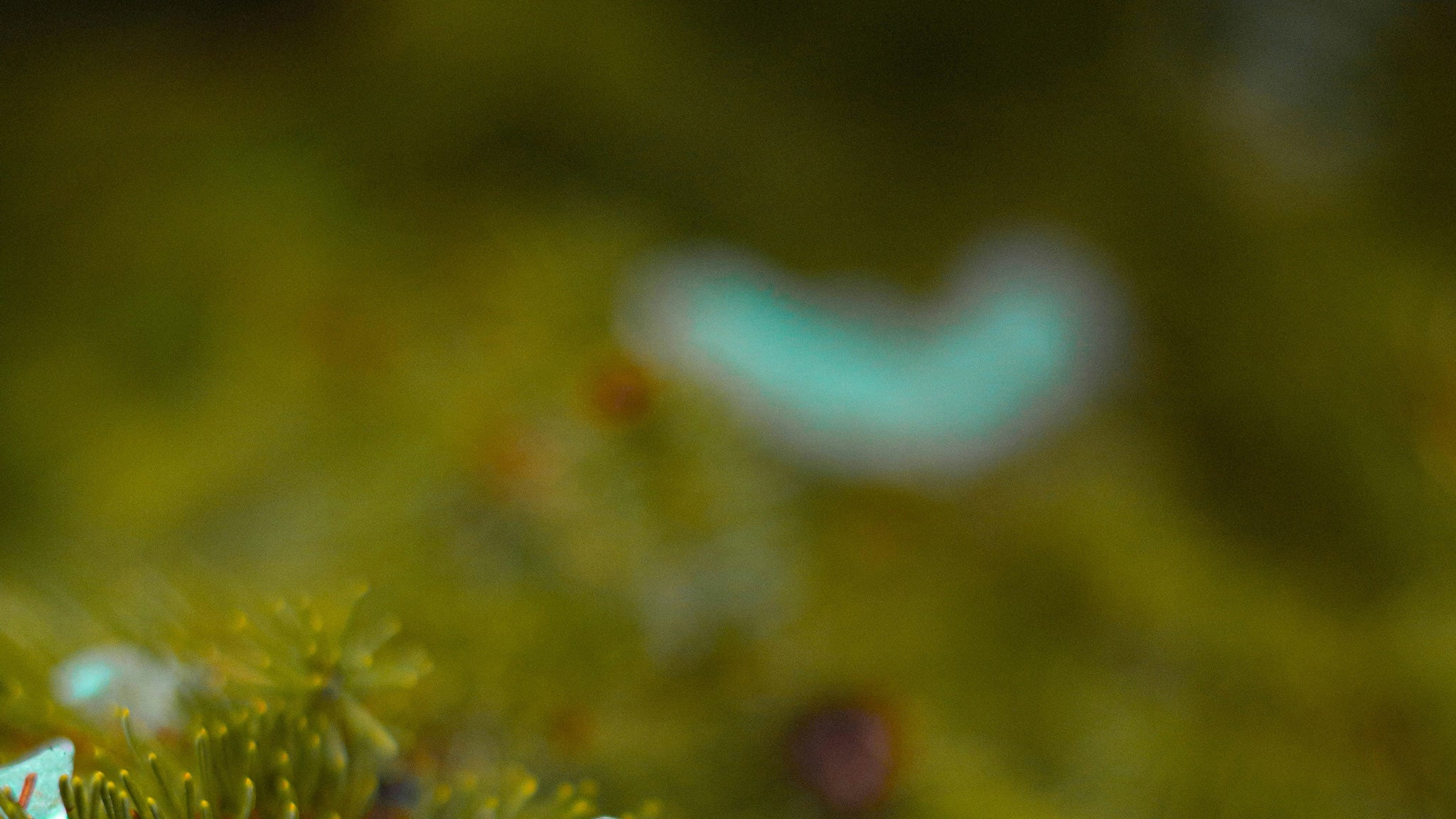 cristian-vieriu-I134mBiIDn8-unsplash-WEB_9b322713-5b17-4c2f-ba40-c7d12c19dc6a.jpg