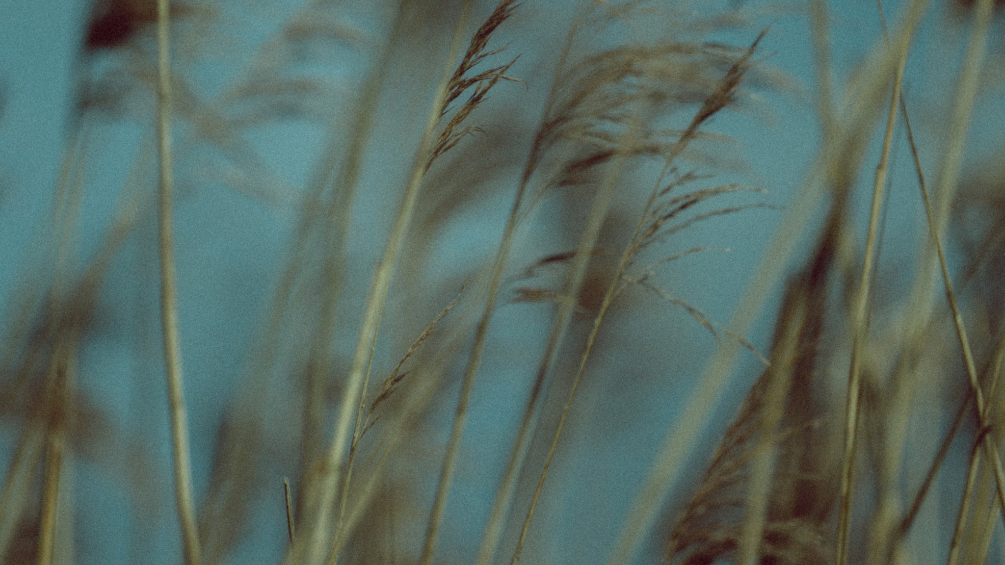 haberdoedas-R-MmHfzEc10-unsplash-WEB.jpg