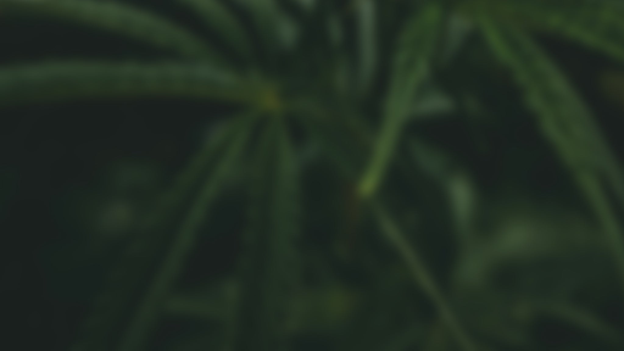 mayur-sharma---zCL0WxNVw-unsplash-WEB.jpg